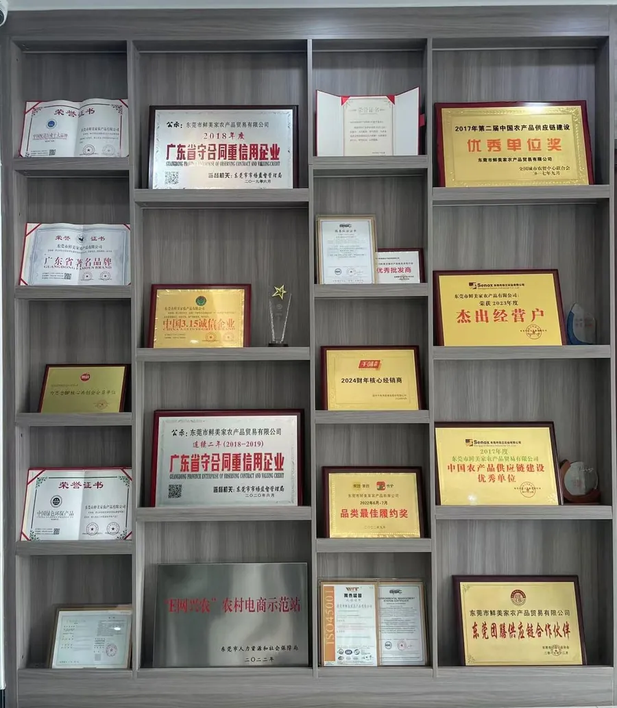 资质荣誉与客户认可
